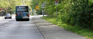 Die Potsdamer Straße in Bornim soll stadteinwärts eine eigene Busspur plus einen besseren Radweg erhalten. Dafür muss allerdings ein Stück des Katharinenholzes dort weichen. 