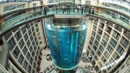 In den frühen Morgenstunden des 16. Dezember 2022 war der Aquadom geplatzt.