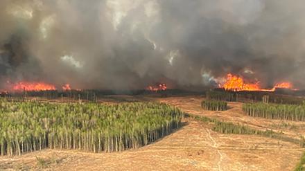 Eine Rauchsäule steigt vom Waldbrand WWF023 in der Nähe von Fox Creek, Alberta, Kanada, auf.