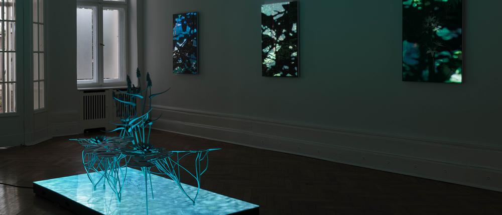 Die Ausstellung „Natural Origin“ von Timur Si-Qin in der Galerie Société in Berlin. 