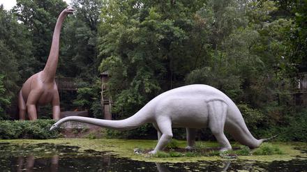 Nachbildungen eines Brachiosaurus (l.) und eines Diplodocus stehen im Saurierpark. 
