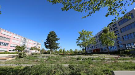 Der Schulcampus des Leibniz-Gymnasiums, links befindet sich die Musikschule.
