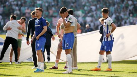 Hertha steht laut einem Bericht nahe am sportlichen Abgrund.
