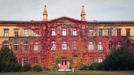 Das Krankenhaus des Maßregelvollzugs ist völlig überbelegt, wirksame Entlastung nicht in Sicht. 