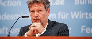 Bundesminister für Wirtschaft und Klimaschutz.