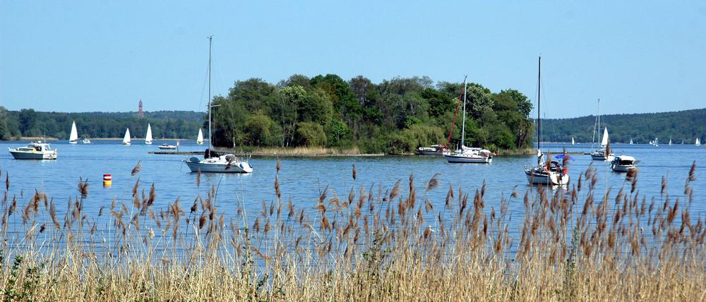 Eine der kleineren Berliner Inseln: Kälberwerder in der Havel. 
