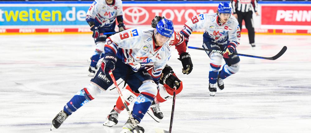 Lean Bergmann wird zukünftig das Trikot der Eisbären Berlin tragen.