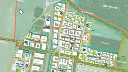Rahmenplan Golm 2040: Der nördliche Abstand der neuen Siedlung zum Katharinenholz soll durchgängig 150 Meter betragen. Dadurch fällt ein Streifen der geplanten Bebauung mit etwa 200 Wohnungen weg.