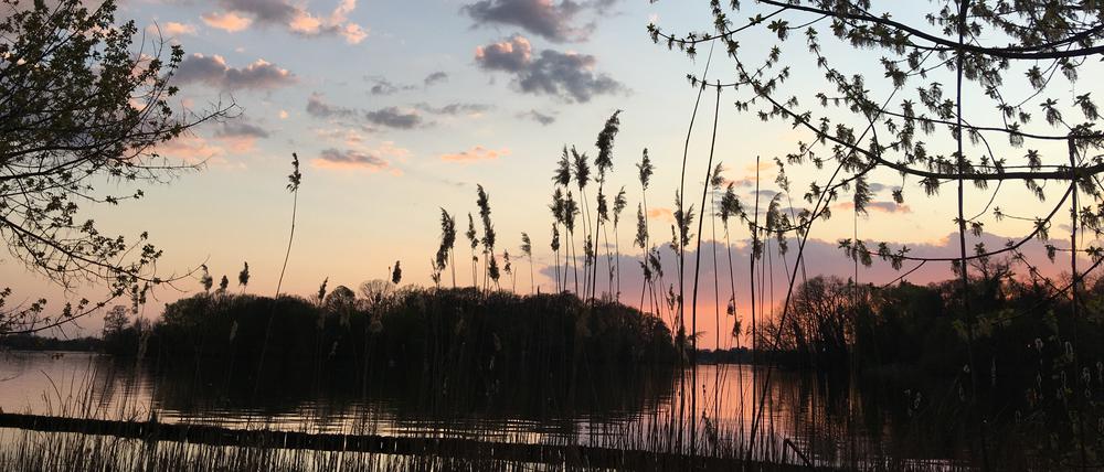 Mit einer Fähre kommen Gäste für drei Euro auf die Insel. 
