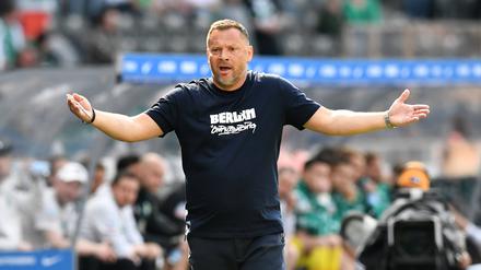 Immer wieder Dardai. Retten, was schwer zu retten ist.