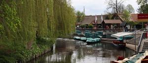 Aufnahmen der Stadt Burg im Spreewald.