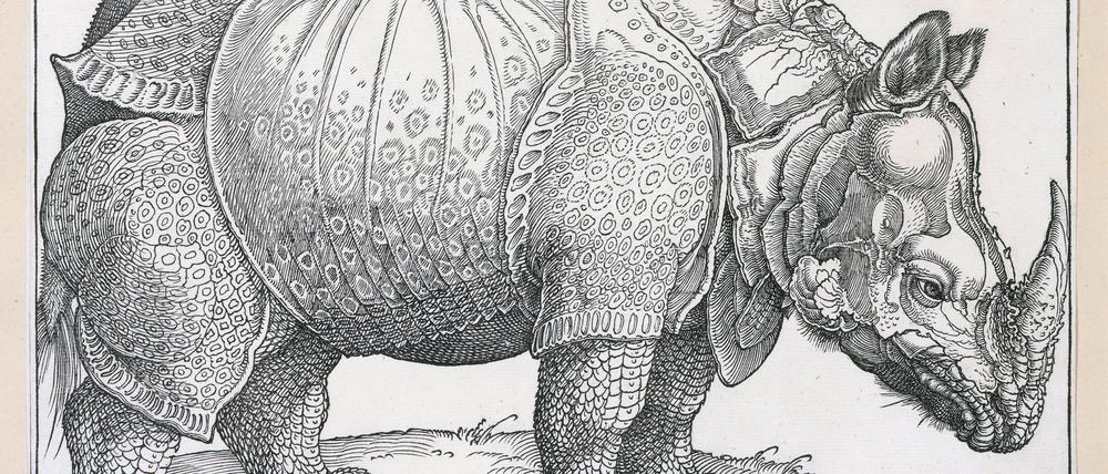 Dürers Holzschnitt „Rhinozeros“ von 1515 gehört zu seinen bekanntesten Motiven und ist in hervorragendem Zustand Teil der Sammlung des Kupferstichkabinetts.