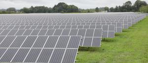 Solarflächen nähe Marquardt an der Autobahn 10, Potsdam Nord, Photovoltaik, Solar, Potsdam, 30.08.2021, Foto: Sebastian Gabsch