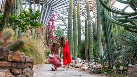 Ganz schön piksig: Besucherinnen im Kakteengewächshaus im Botanischen Garten.