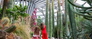 Ganz schön piksig: Besucherinnen im Kakteengewächshaus im Botanischen Garten.