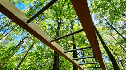Neue Geräte mitten im Wald: Ab dem 15. Mai ist der Fitnesspfad im Grunewald wieder geöffnet. 