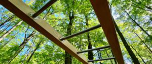 Neue Geräte mitten im Wald: Ab dem 15. Mai ist der Fitnesspfad im Grunewald wieder geöffnet.