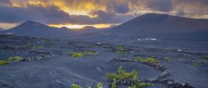 Auf Lanzarote werden neue Anlagen für erneuerbare Energiequellen gebaut. 