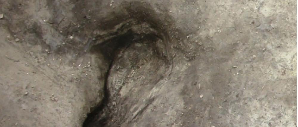 Potenzieller Homininen-Fußabdruck, der in Schöningen 13 II-2 Untere Berme gefunden wurde.