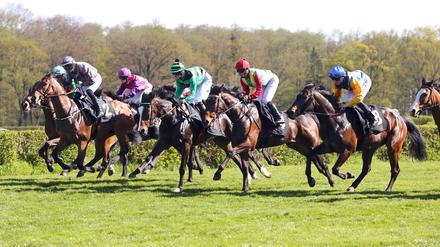 Auf der Galopprennbahn in Hoppegarten stehen am Irish Race Day neun Rennen statt.