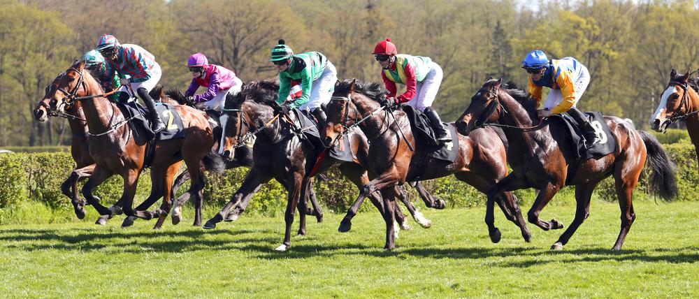 Auf der Galopprennbahn in Hoppegarten stehen am Irish Race Day neun Rennen statt.