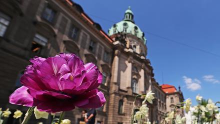 Die Stadt Potsdam ehrt Initiativen und Personen, die sich um die Integration von Geflüchteten verdient machen.