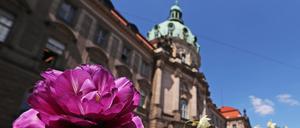 Das Potsdamer Rathaus