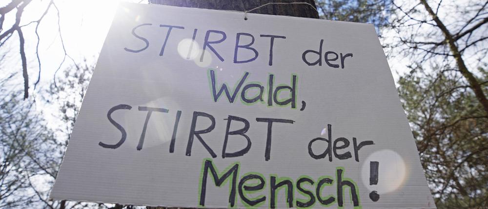 Auch in der Vergangenheit hatte es in der Wuhlheide immer wieder Proteste gegen den Weiterbau der Tangentialverbindung Ost (TVO) und der Autobahn A 100 gegeben, wie hier 2021.