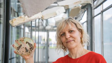 Prof. Vera Meyer von der TU Berlin forscht im My-Co-Place zu Pilzen. C. TU Berlin/ Christian Kielmann