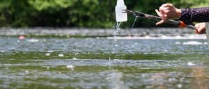 Getestet und für gut befunden: das Wasser in den Berliner Badeseen.