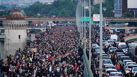 Anti-Gewalt-Demonstration in Serbien