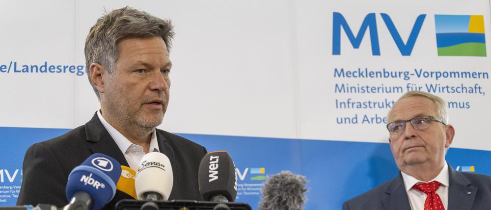 Bundeswirtschaftsminister Robert Habeck.