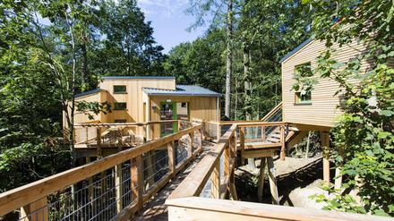 Schlafen im Baumhaus: In der Jugendherberge Panarbora bei Waldbröl ist das möglich. 
