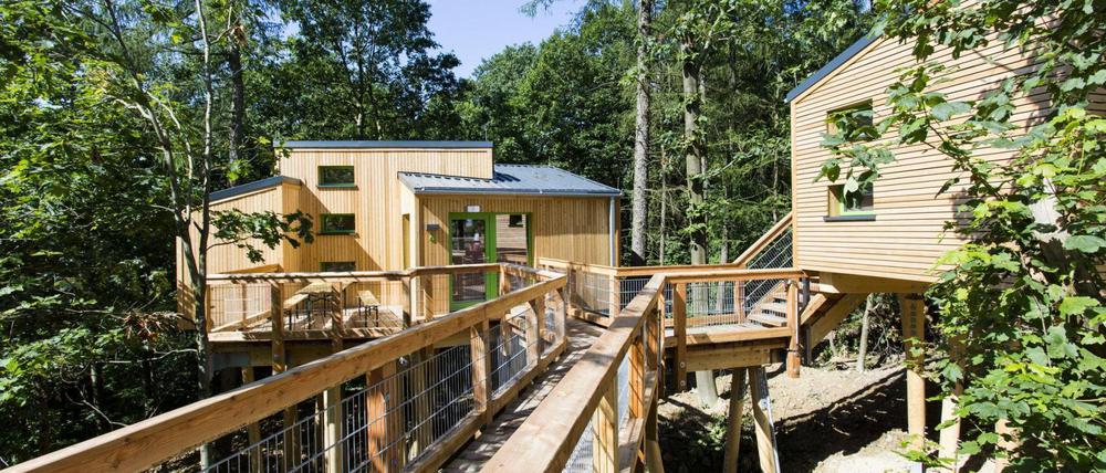 Schlafen im Baumhaus: In der Jugendherberge Panarbora bei Waldbröl ist das möglich.