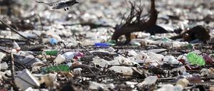 Auf Plastikresten, die in Flüssen dümpeln, wachsen Bakterien, die auch dem Menschen gefährlich werden können.