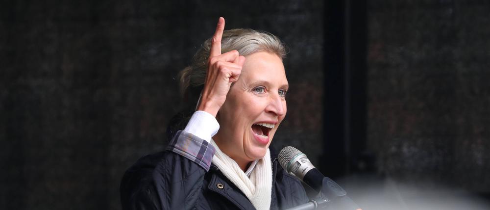 Alice Weidel auf einer Demo der AfD in Erfurt (Archivbild).