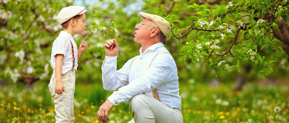 Zwischen blühenden Frühlingsblumen fühlen sich alle Generationen gleichermaßen wohl.