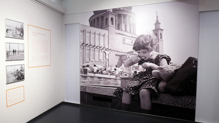 Blick in die aktuelle Sonderausstellung des Potsdam Museums.