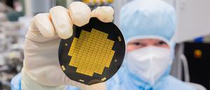 Forscherin zeigt einen Träger von Mikrochips.