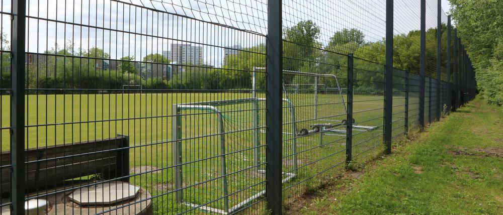 Von Bäumen umsäumt. „Der Standort hat keine Sichtbeziehung zum Park“, sagt Torsten Gessner, Bereichsleiter Sport der Stadtverwaltung.