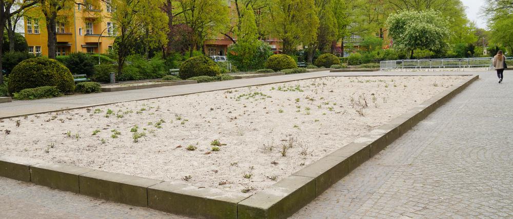 Kommt da noch was? Der Stadtrat sagt Ja.