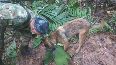 Mehr als zwei Wochen nach dem Absturz eines Kleinflugzeugs im kolumbianischen Regenwald suchen Soldaten und Indigene weiter nach vier Kindern. Nachdem Präsident Gustavo Petro auf Twitter bereits die Rettung der Kinder bekannt gegeben hatte, ruderte er am Donnerstag zurück. 