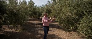 Der Olivenbauer Cristobal Cano prüft, wie seine Bäume in der Region von Jaén die Trockenheit überleben.