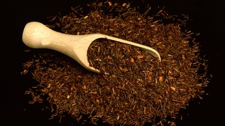 Aspalanthus lineatis, Rotbusch, Rotbuschtee, Rooibos-Tee, Heilpflanzliche Anwendung ohne Gewähr 1f-942137 