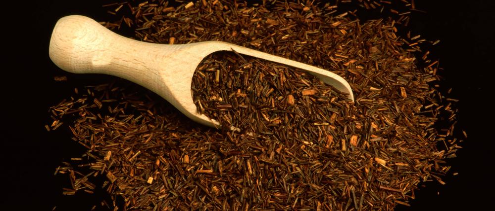 Aspalanthus lineatis, Rotbusch, Rotbuschtee, Rooibos-Tee, Heilpflanzliche Anwendung ohne Gewähr 1f-942137