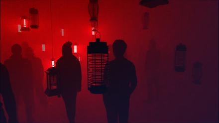 Irgendwann flackert nichts mehr: Sven Sauers Kunstwerk zum Artensterben „Exponentiell“.