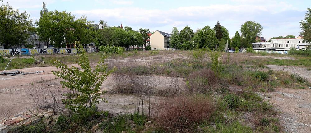 Noch immer liegt das Gelände an der Glasmeisterstraße brach, der Bauträger ist für Anfragen nicht zu erreichen.