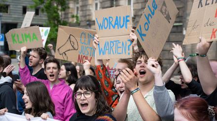 Teilnehmer einer Kundgebung von Fridays for Future (FFF) in Dresden.