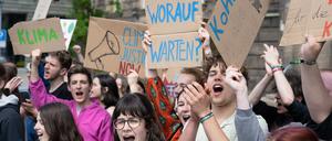 Teilnehmer einer Kundgebung von Fridays for Future (FFF) in Dresden.