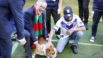 Premier Albanese ist in Australien immer beliebter.